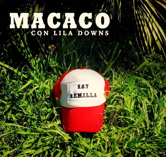 Macaco_Semillas